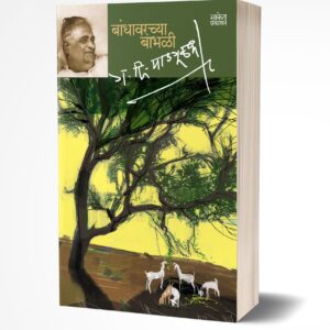 Bandhawarchya Babhali | बांधावरच्या बाभळी