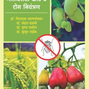 Amba Kaju Kid Vyavasthapan