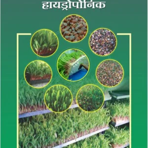 Kami Kharchache Faydeshir Chara Utpadan Tantra : Hydroponic